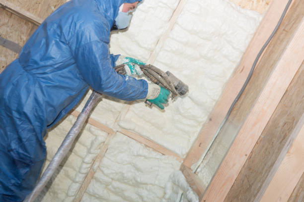 Best Thermal Imaging for Insulation Gaps  in Galva, IL